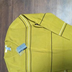 Geoffrey Beene woman's size XL Green Stripes V-Neck Sweater